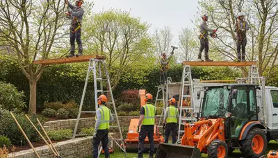 Columbus, OH arborists providing tree removal and landscaping services for local properties