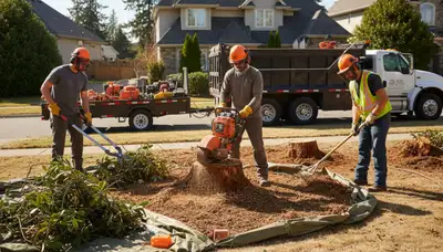 Columbus, OH tree crew removing overgrown shrubs for a cleaner yard and safer landscape