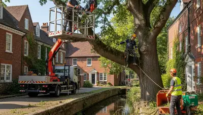 Tree service crew removing a tree in Columbus, OH