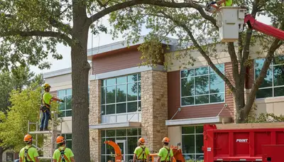 Tree service crew in Columbus, OH providing professional tree removal and trimming services