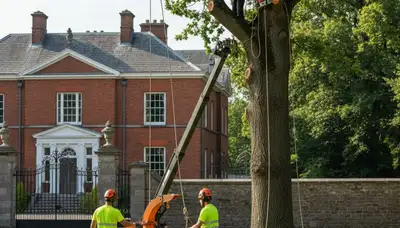 Columbus, OH tree service crew trimming a tree for safe residential removal