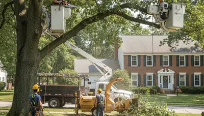 Tree service crew in Columbus, OH removing a tree for safe, professional property care