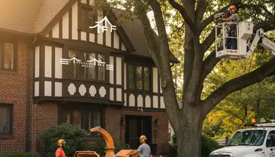 Tree service team in Columbus, OH handling safe tree removal for a residential property