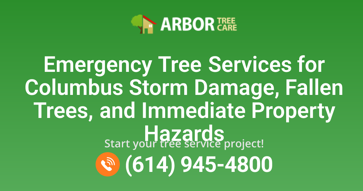 24/7 Emergency Tree Services in Columbus, OH | Arbor Tree Care